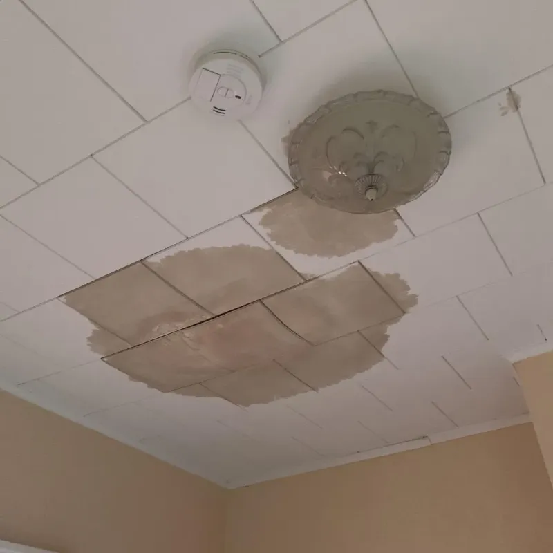 Ceiling Water Damage Repair in Cypress, TX